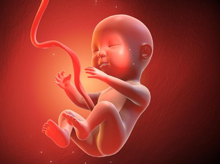 Arti Reaksi Cemberut Janin saat Bunda Makan Sayuran Berdaun Hijau, Bukan Berarti Tak Suka