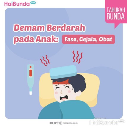 Detik Network