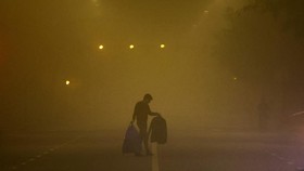 FOTO: Dekapan Kabut Pekat Musim Dingin Hambat Penerbangan-Kereta India