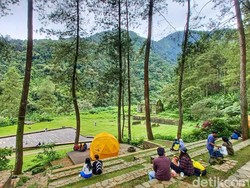 Ngopi Ditemani Pemandangan Indah di Gunung Puntang