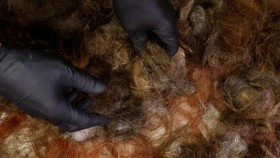 img-title FOTO: Saat Rambut Diubah Jadi Matras Ramah Lingkungan