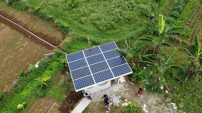 Putro Santoso (47) menuai hasil lebih dari perkebunan organiknya di Bogor usai menggunakan limpahan energi Matahari dari panel suryanya.