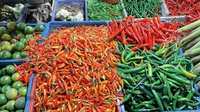 Harga Pangan Meroket Jelang 2023, Cabai Rawit Merah Makin 'Pedas'