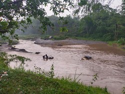 3 Jip Merapi Terjebak Banjir di Kali Kuning Sleman, Begini Kronologinya