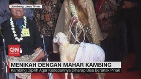 VIDEO: Menikah dengan Mahar Kambing
