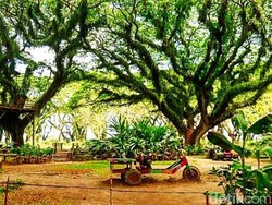 Kurangi Beban Wisata Bali, Banyuwangi Bali Barat (BBB) Akan Debut