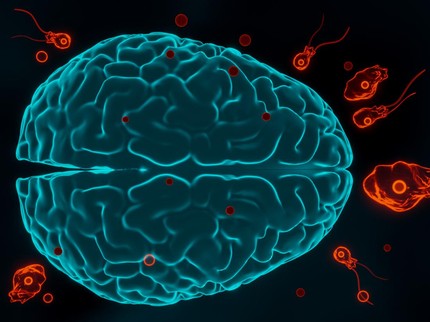 Mengenal Infeksi Amoeba Pemakan Otak dari Penyebab dan Gejalanya