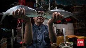FOTO: Harga Ikan Makin Mahal Imbas Gelombang Tinggi di Laut