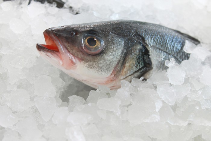 5 Tips Menyimpan Ikan di Kulkas Agar Tetap Segar dan Tak Busuk
