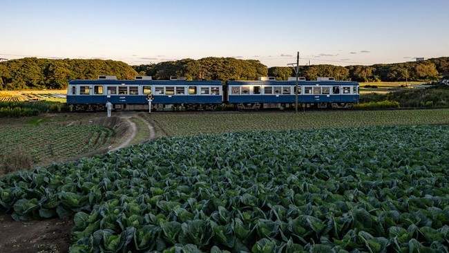 FOTO: Perjuangan Kereta Pedesaan Jepang yang Mulai Ditinggal Penumpang