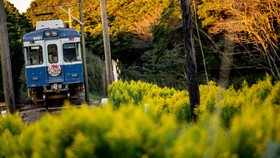 Uji Nyali Liburan di Jepang Naik Kereta 'Zombie', Siapa Berani?