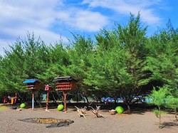 Libur Asyik di Pantai Cemara Banyuwangi, Bisa Ikut Lepas Tukik Lho!