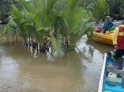 Detik-detik Bocah Berau Hilang Diterkam Buaya 3 Meter saat Mandi di Sungai