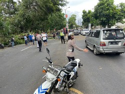 Potensi Angin Kencang, BPBD Minta Wisatawan di Batu Waspada Pohon Tumbang