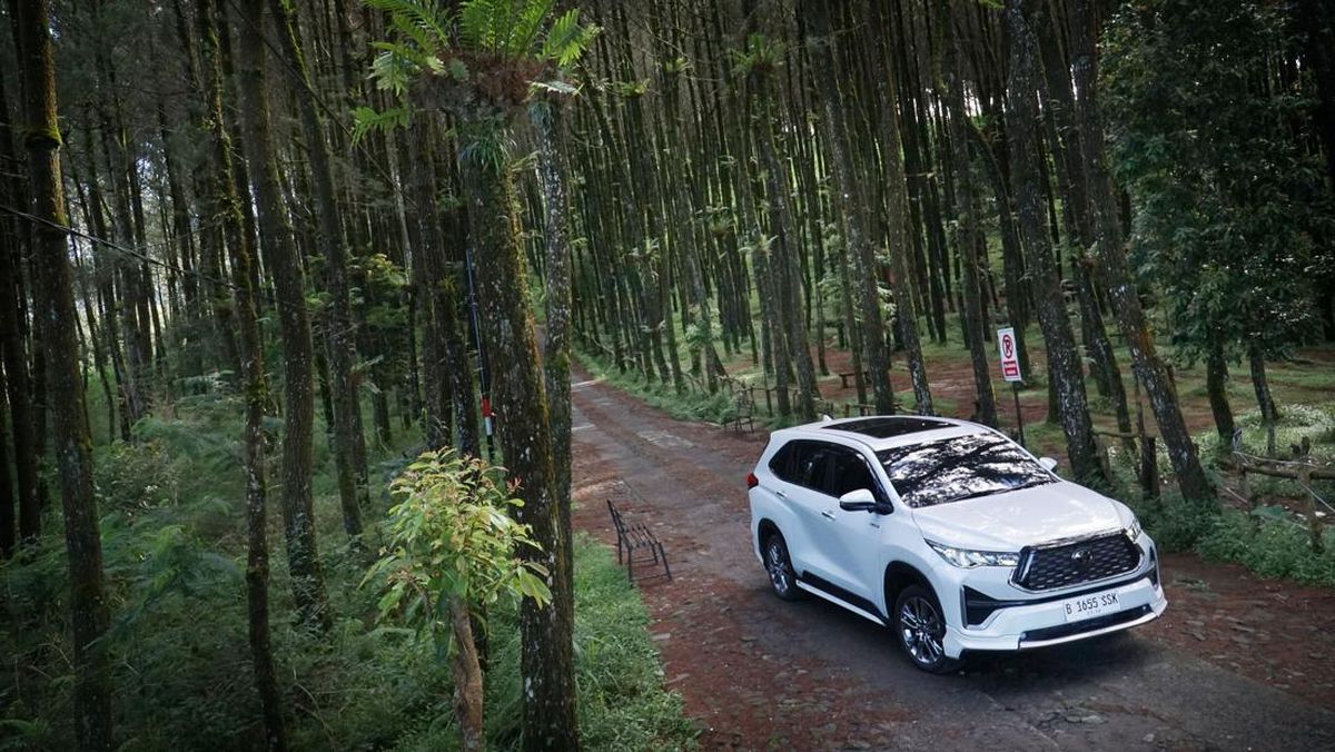 Mobil Hybrid Makin Banyak Dibeli di 2025, Mana yang Paling Laris?