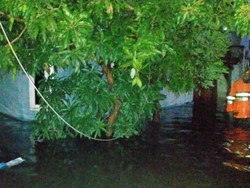 2 Pemuda Tewas Kesetrum di Lokasi Banjir Semarang
