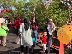 Indahnya Hutan Bakau Bernuansa Jepang yang Instagramable di Batu Bara