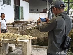 Deretan Wisata Kebun Binatang di Sumut Saat Libur Sekolah