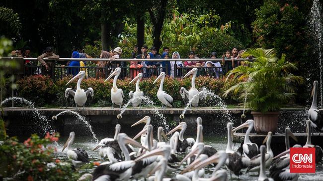 Ada rencana ke Ragunan saat liburan Lebaran kedua hari ini? Cek di sini buat harga tiket dan jam buka Ragunan.