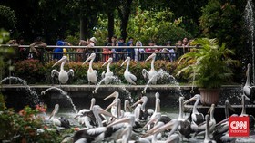 Buka di Hari Kedua Lebaran, Cek Harga Tiket dan Jam Buka Ragunan