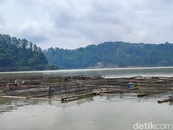 Petani Keramba Telaga Ngebel Sudah Diingatkan Soal Bahaya Gas Belerang