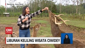 VIDEO: Liburan Keliling Wisata Ciwidey