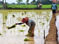 Kehidupan Manusia Dipengaruhi Cuaca dan Iklim, Valid No Debate