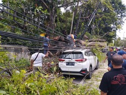 Cuaca Ekstrem, Pohon Tumbang Timpa Mobil di Bypass Ngurah Rai Denpasar
