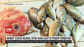 VIDEO: Akibat Cuaca Buruk, Stok Ikan Laut di Pasar Terbatas