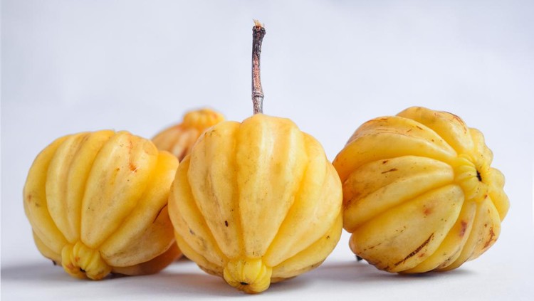 kudampuli/rempah paling langka di dunia
