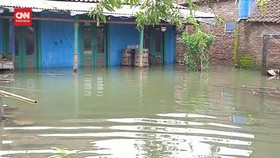 VIDEO: Banjir Demak Makin Parah dan Meluas Hingga 10 Kecamatan