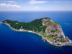 Ngerinya Pulau Ular yang Terlarang Dikunjungi Manusia