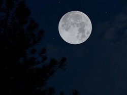 Malam Ini Puncak Fenomena Bulan Purnama Worm Moon