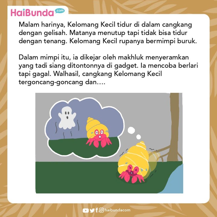 Cerita Fabel Kelomang Paling Suka Cerita Horor