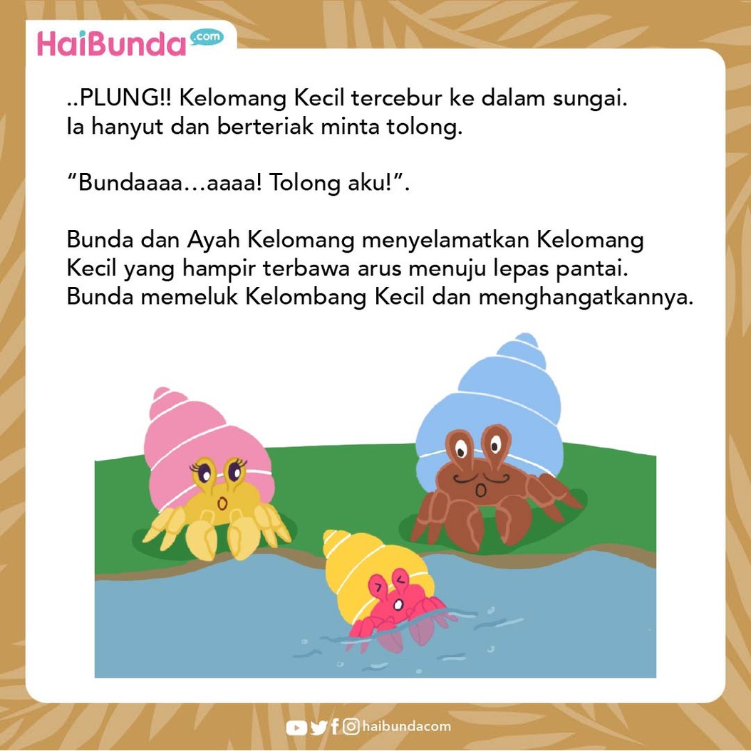 Cerita Fabel Kelomang Paling Suka Cerita Horor