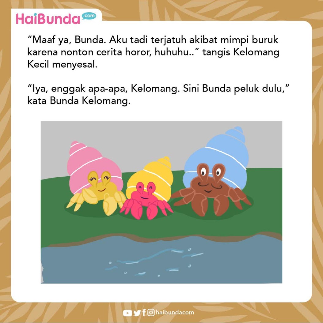 Cerita Fabel Kelomang Paling Suka Cerita Horor