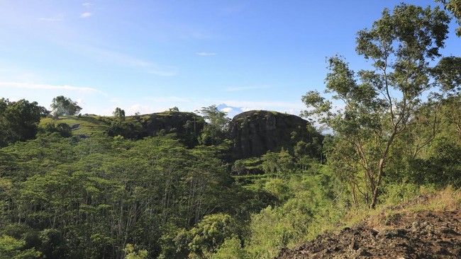 Koalisi yang terdiri atas Walhi, DPD Gabungan Industri Pariwisata, dll memprotes rencana pengurangan luas kawasan Karst Gunung Sewu di Gunungkidul.