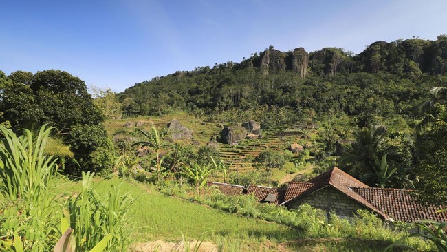 Koalisi yang terdiri atas Walhi, DPD Gabungan Industri Pariwisata, dll memprotes rencana pengurangan luas kawasan Karst Gunung Sewu di Gunungkidul.