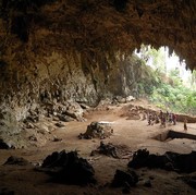 Ada Manusia Hobbit di Indonesia, Ternyata Tinggalnya di Pulau Ini
