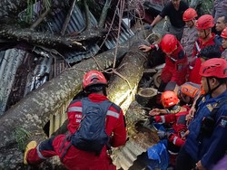 Kakek Santuy Tetap Merokok Walau Badan Tertimpa Pohon di Makassar