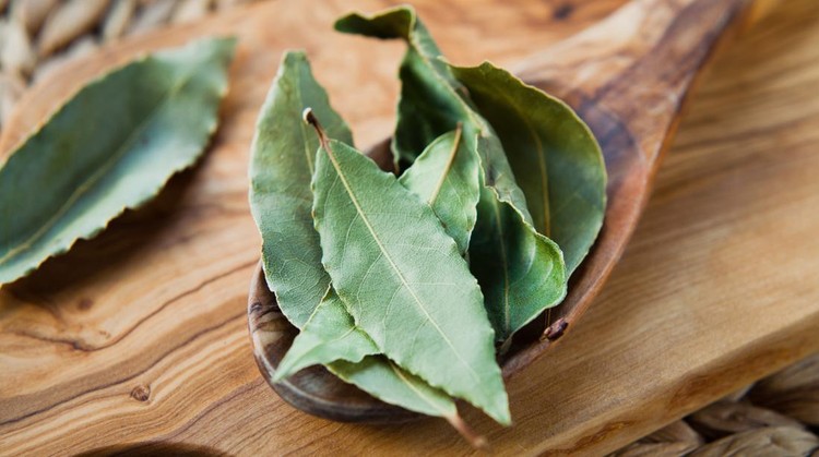 911769366 Dry Bay Leaves - Laurel Tree leaves, aromatic herb and Indian spices on the wooden spoon, rustic background, macro.