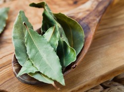10 Manfaat Daun Salam Bagi Kesehatan, Bisa untuk Asam Urat!