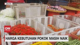 VIDEO: Harga Kebutuhan Pokok Masih Naik
