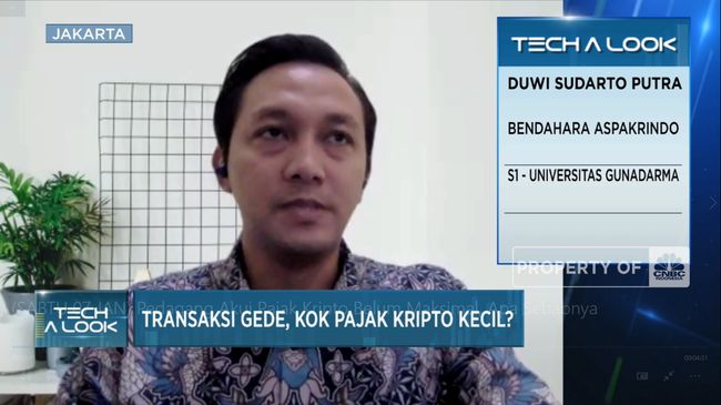 Penerimaan Pajak Kripto Belum Maksimal, Apa Sebabnya?