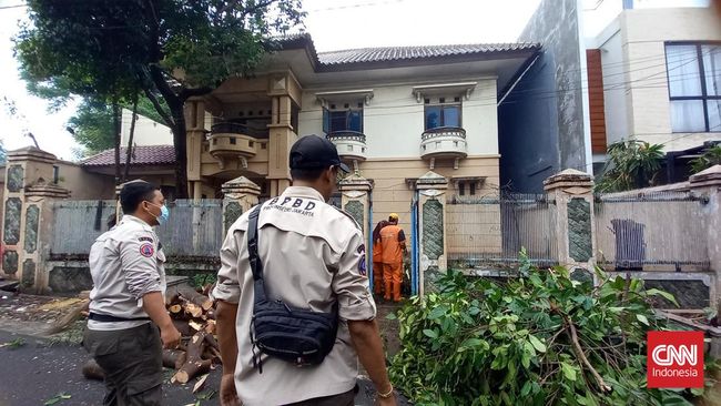 Tetangga mengungkapkan barang-barang yang dijual Eny pemilik rumah mewah terbengkalai Cakung berupa pot bunga, gorden, hingga almari.