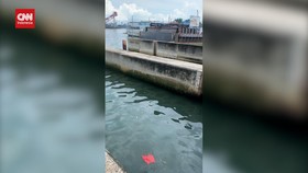 VIDEO: Melihat Tanggul di Pesisir Jakarta Utara yang Retak