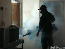 Warga 2 RT Lumpuh 3 Hari Kena Chikungunya, Dinkes Tulungagung Lakukan Fogging