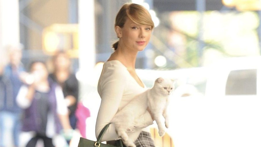 Wow, Kucing Taylor Swift Punya Kekayaan Rp1,5 Triliun