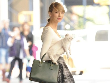 Wow, Kucing Taylor Swift Punya Kekayaan Rp1,5 Triliun