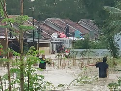 Potret Ngerinya Banjir Bandang di Perumahan Semarang, Warga hingga Naik Atap